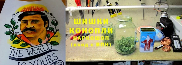 a pvp Новодвинск
