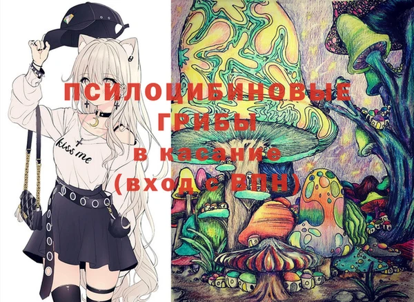 бошки Нягань