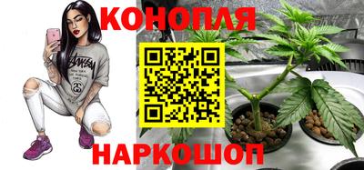 твердый Беслан