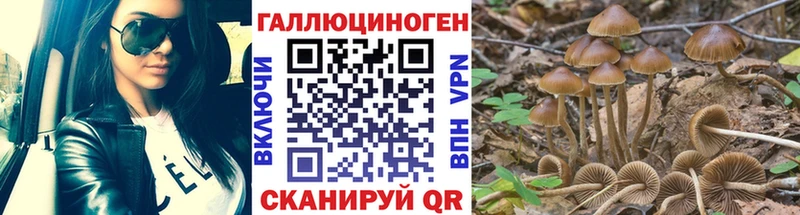 где купить наркоту  Иркутск  hydra онион  Галлюциногенные грибы ЛСД 