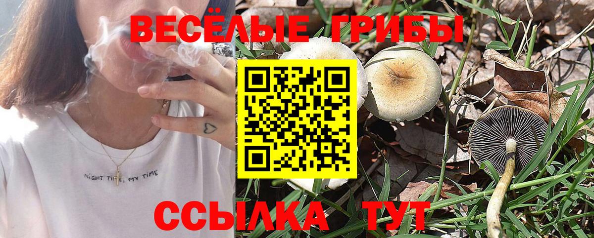 Иркутск  Галлюциногенные грибы Psilocybine cubensis  Вход с VPN 