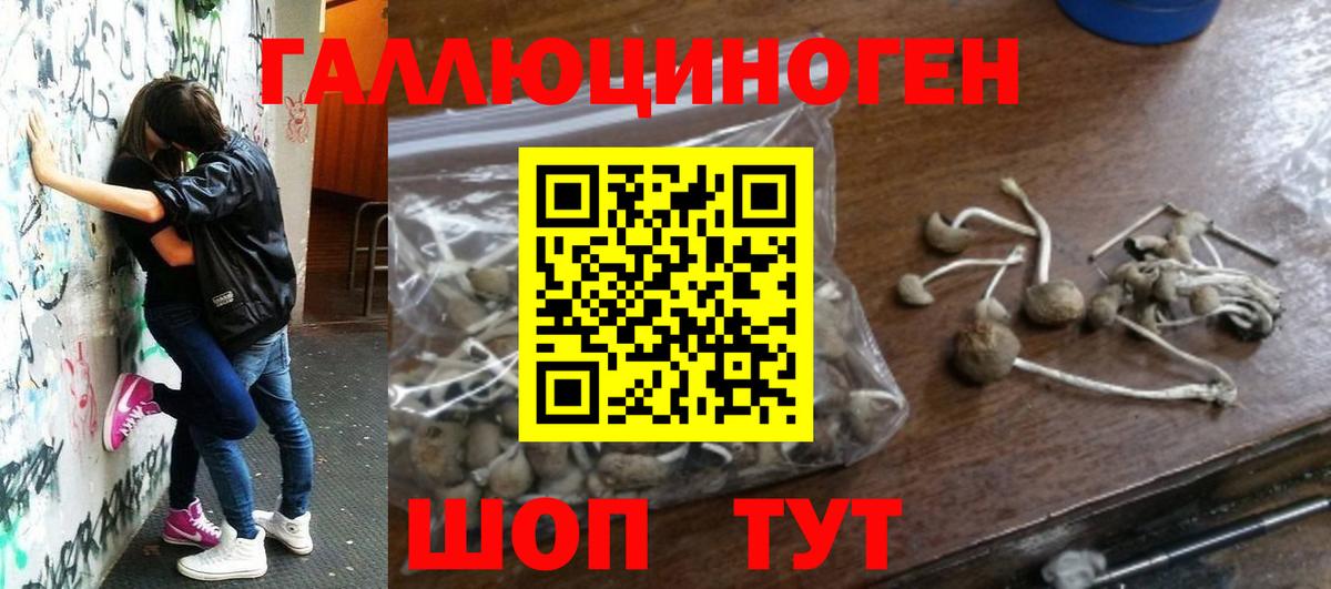 Галлюциногенные грибы MAGIC MUSHROOMS Иркутск