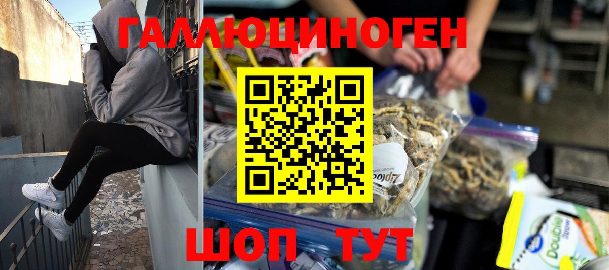 Псилоцибиновые грибы Cubensis  Иркутск 